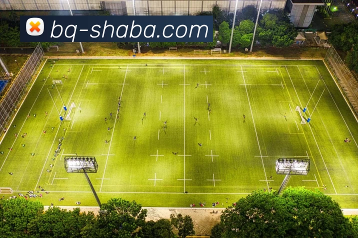 沙巴体育平台平台生态图